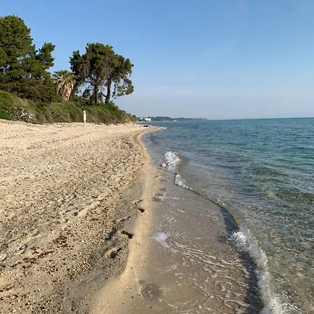 Joana By Halkidiki *