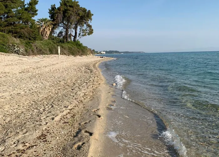 Joana By Halkidiki *